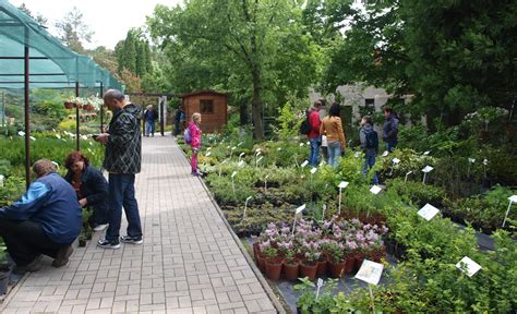 fotografia svadobného páru v kvetinovom záhone Arboréta Mlyňany