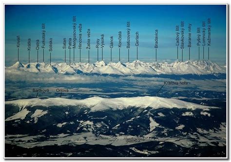 Majestátne štíty Vysokých Tatier s výrazným stromom v popredí na čiernobielej pohľadnici.