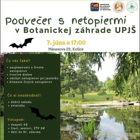 Fotografia rozsiahleho parku s rôznorodou flórou mierneho pásma v Botanickej záhrade SPU.