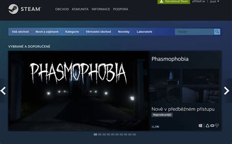 Screenshot profilu používateľa Steam zobrazujúci zoznam jeho hier