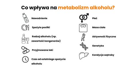 Ilustrácia znázorňujúca proces metabolizmu alkoholu v pečeni a účinok vitamínov skupiny B.