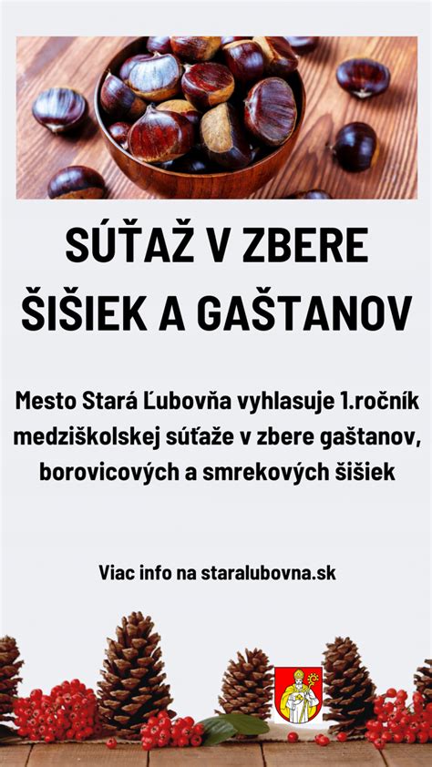 Zber borovicových šišiek v lese