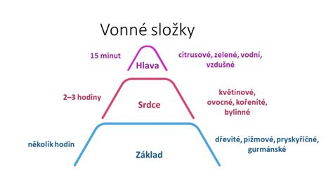 Infografika: rozloženie vonných tónov sviečky (hlava, srdce, základ)