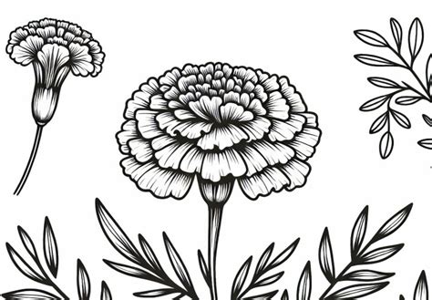 kresba červeného kvetu, symbolizujúca krásu a lásku