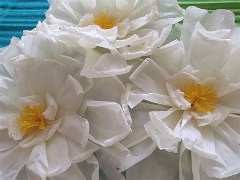 Návod: Ukážka rôznych jarných motívov vystrihnutých z papiera (kvety, vtáčiky, motýle).