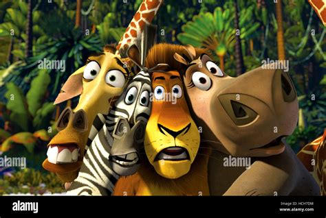 Tematické foto postáv z Madagaskaru (lev Alex, zebra Marty, hroch Gloria, žirafa Melman)
