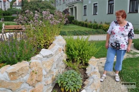 Inšpiratívna fotka parapetu s bylinkovou záhradkou a rôznymi črepníkmi