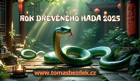 Ilustrácia: Detailný dizajn figúrky Hada 2025 s bubnami a taškami