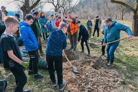 Tematické foto: dobrovoľníci sadia stromy v mestskom prostredí