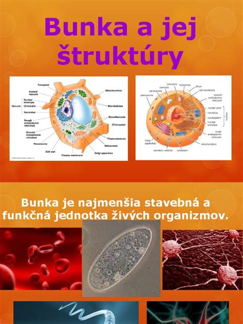 Detailná infografika štruktúry 3D vetvičky a jej prechodov farieb