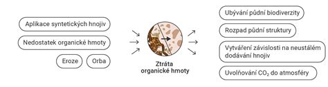 Schéma vrstvenia aranžérskej hmoty a čečiny v miske