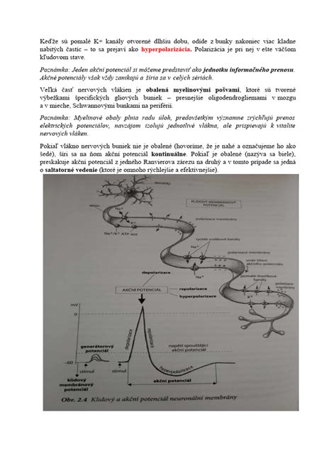 Schéma chemickej synapsie s presynaptickou a postsynaptickou membránou a prenosom neurotransmiterov