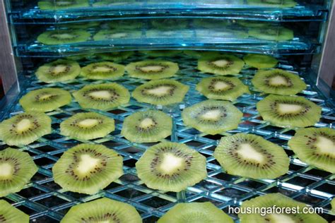 Detailný postup sušenia plátkov ovocia v rúre