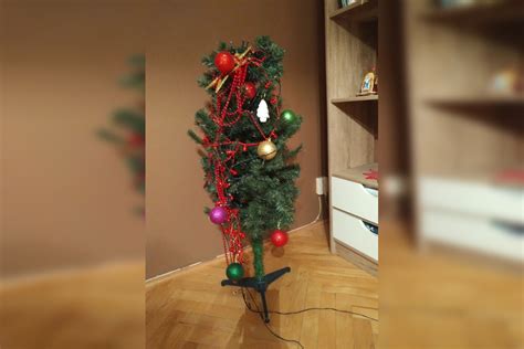 Historické fotografie vianočných stromčekov zdobených tradičnými ozdobami