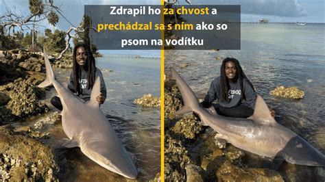 meme so žralokom v tornáde
