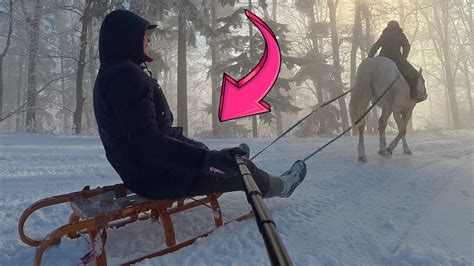 Ilustrácia sánok ťahaných koňom v snehu