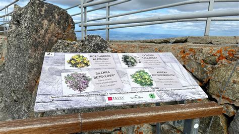 Botanická záhrada na Lomnickom štíte s informačnými tabuľami.