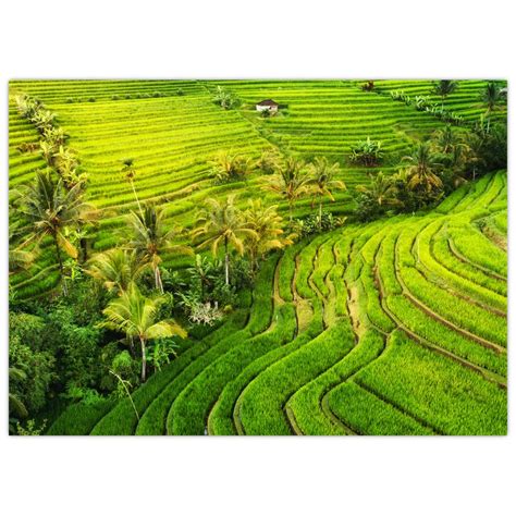 fotokoláž zobrazujúca ryžové terasy v Ubudu a pláže v Nusa Dua