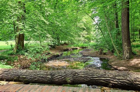 Záber na romantický anglický park pri historickom kaštieli pripravený na svadobný obrad