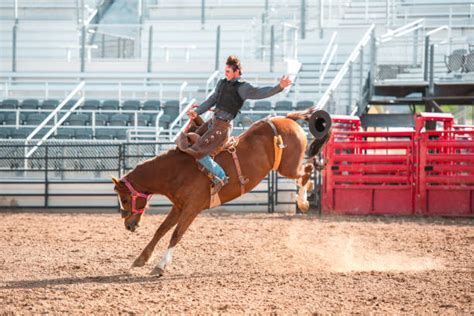 Tematické foto: ľudia sa bavia na rodeo býkovi na akcii