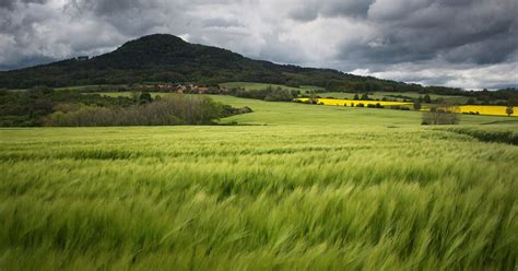 Zemědělská krajina s orajúcim roľníkom symbolizujúca pôvod mena Jiří