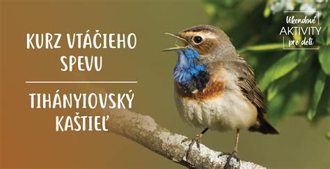 Ilustrácia znázorňujúca rituál kultu vtáčieho muža