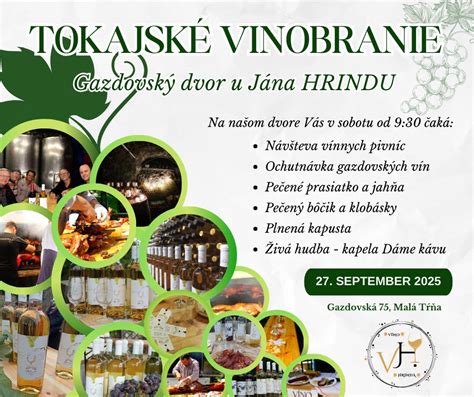 Návštevníci degustujú víno v tradičnej tufovej pivnici v Tokaji