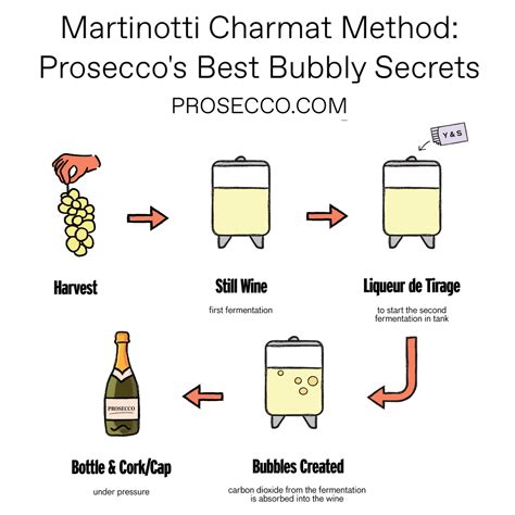 infografika o výrobe Prosecca metódou Charmat