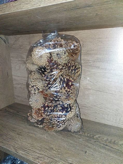 fotografia rôznych šišiek (borovicové, smrekové, jedľové) pripravených na spracovanie