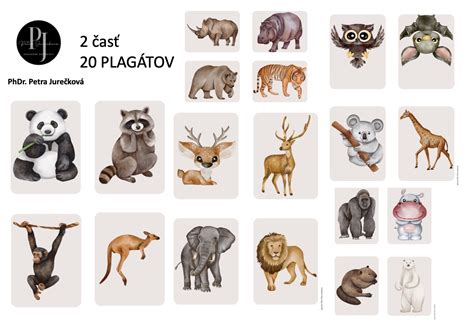 Sada výukových kariet s obrázkami rôznych európskych živočíchov a ich názvami v slovenskom a anglickom jazyku.