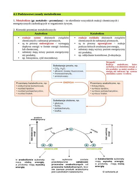 Schéma energetického metabolizmu v ľudskej bunke a vplyv kľúčových živín na tvorbu ATP
