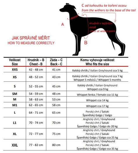 Schéma merania psa: znázornenie obvodu krku, hrudníka a dĺžky chrbta pre správny výber oblečenia