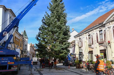 Fotografia vianočného stromčeka v Krakove osvetleného meniacimi sa svetlami a cencúľovými ornamentmi