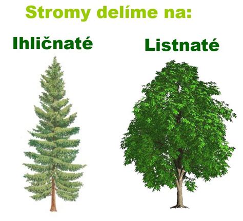 Detailná schéma postupu zmotávania drôtenej kostry pre listnatý strom