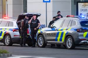 Pes ukrytý v pelechu počas silvestrovskej noci