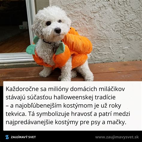 tematické foto mladého dievčaťa v kostýme tekvice