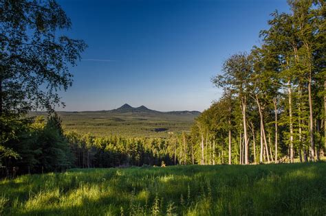 obrázok strašidelnej scény s pavučinami, tekvicami a blikajúcimi svetlami