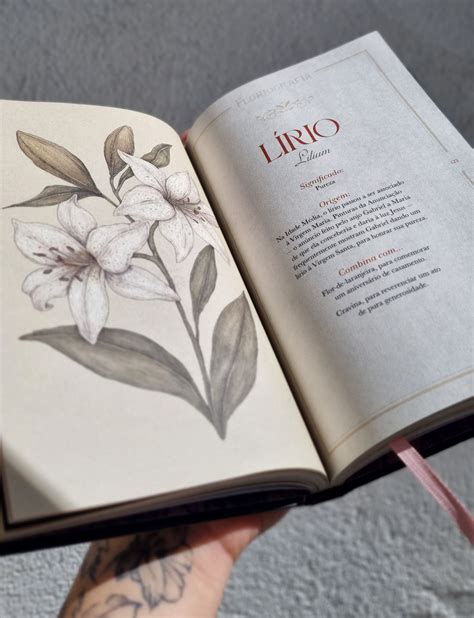 ilustrácia šifrovanej reči kvetov (floriografia)