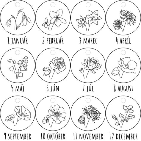 infografika: kvety mesiaca narodenia a ich význam