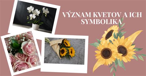 koláž rôznych kvetov s ich názvami a symbolikou