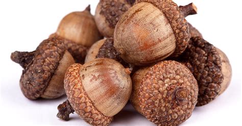 Detailná fotografia jesenného venca s rôznymi prírodnými materiálmi, ako sú listy, šišky, žalude a bobule.