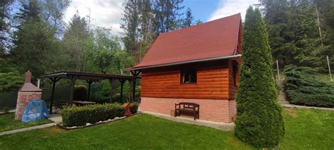 Drevená chata v lese s ohniskom, vhodná na párty