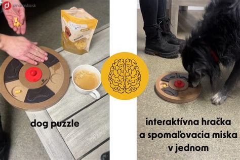 Schéma fungovania interaktívneho hlavolamu pre psa s posuvnými časťami