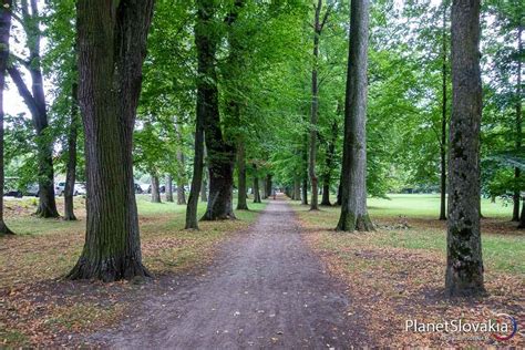 Fotografia psa v zimnom oblečku počas prechádzky v zasneženom parku