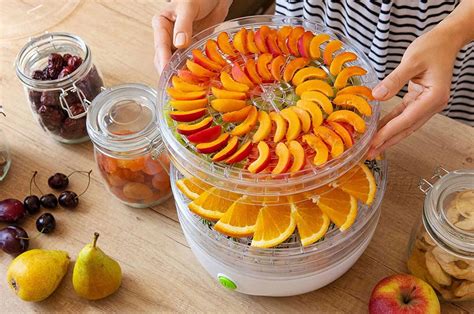 Schéma funkcie sušičky ovocia