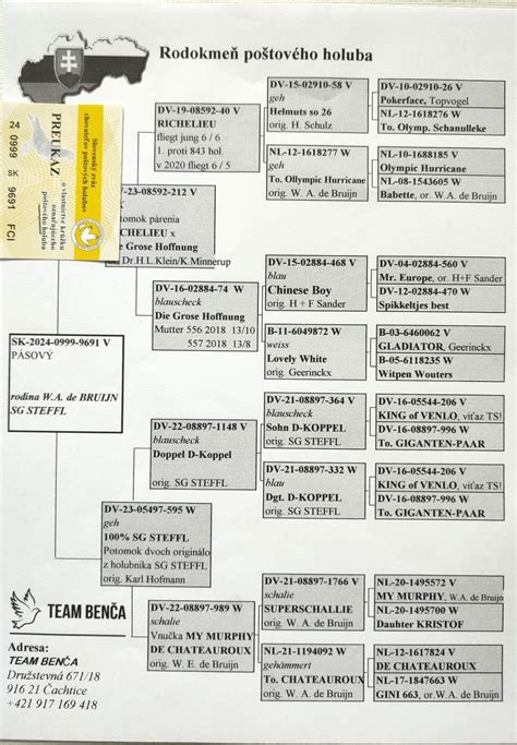 Schéma: Rodokmeň Ježiša Krista od Abraháma po Jozefa