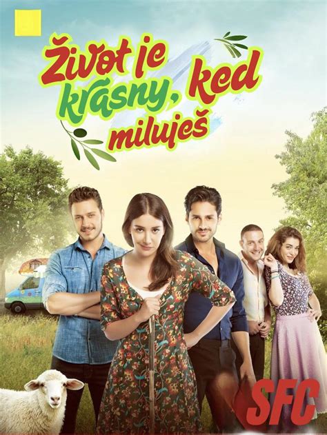 Plagát k slovenskému dramatickému seriálu Milenky
