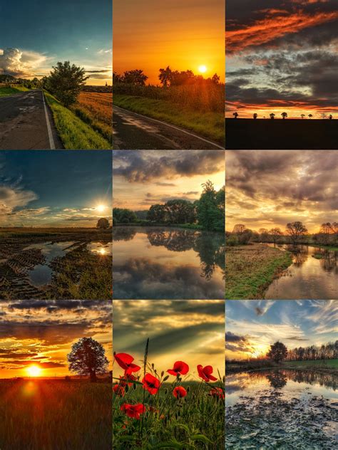 kolaž fotografií lákavých schnitzlov a kúskov štrúdle
