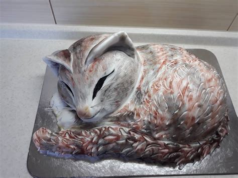 Ilustračná fotografia torty v tvare macka