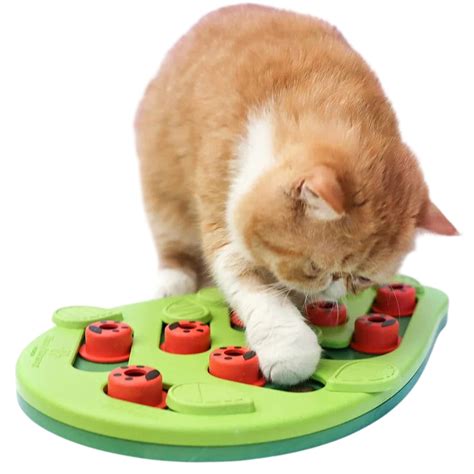 fotografia rôznych maškŕt a pamlskov pre mačky